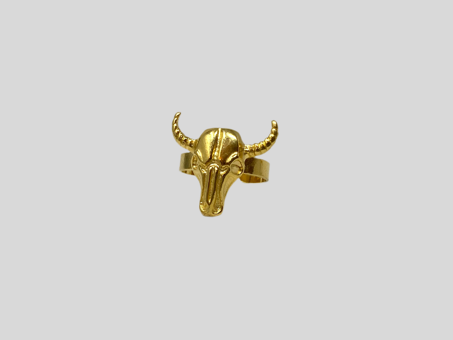 Anillos única pieza