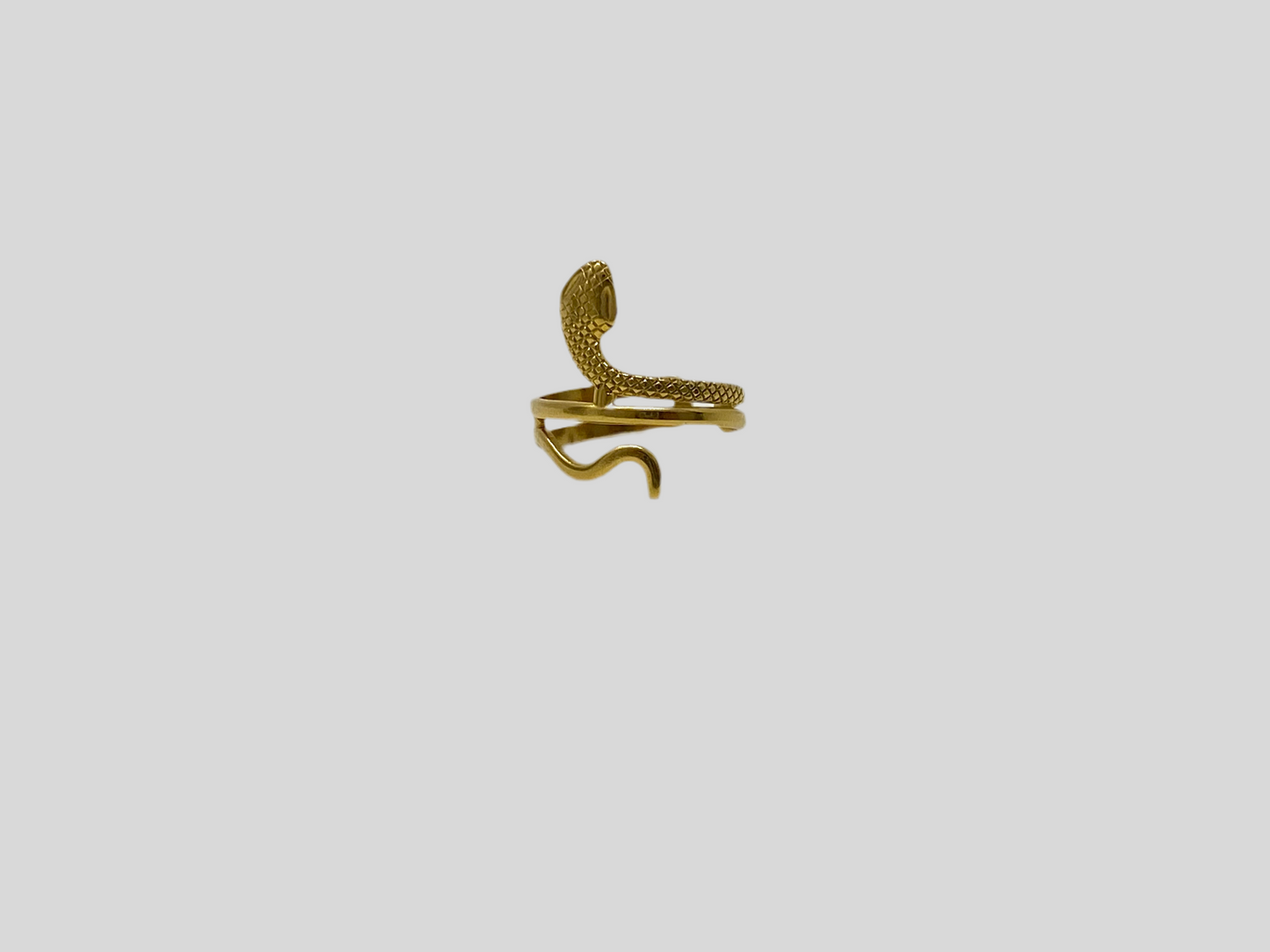 Anillos única pieza