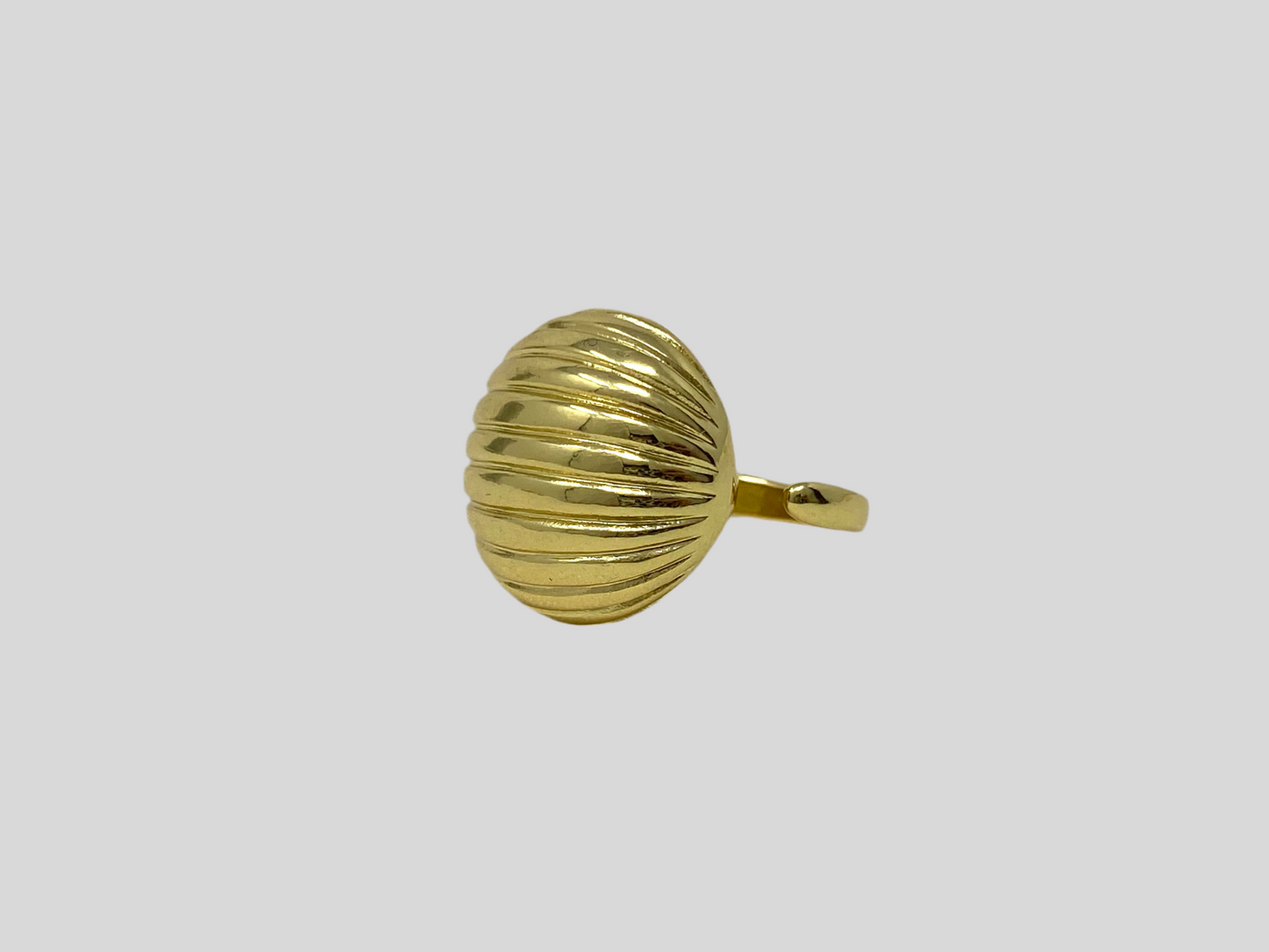 Anillos única pieza